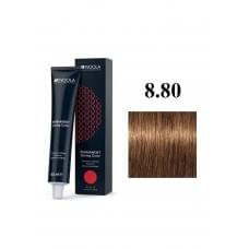 Перманентна крем-фарба для волосся Indola Permanent Caring Color 8.80 Світлий натуральний шоколадний блондин 60 мл