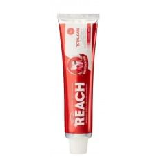 Зубна паста REACH Повний догляд Захист від карієсу Класична м'ята 150g