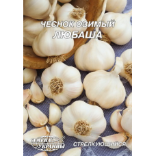 Семена чеснока озимого Любаша Семена Украины 10г 