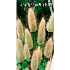 Семена зайцехвостника Семена Украины 0,2г 