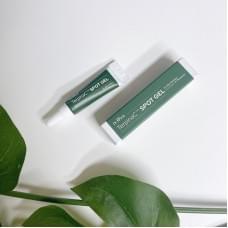 TerpinaC Spot Gel Dr. Oracle 5 g